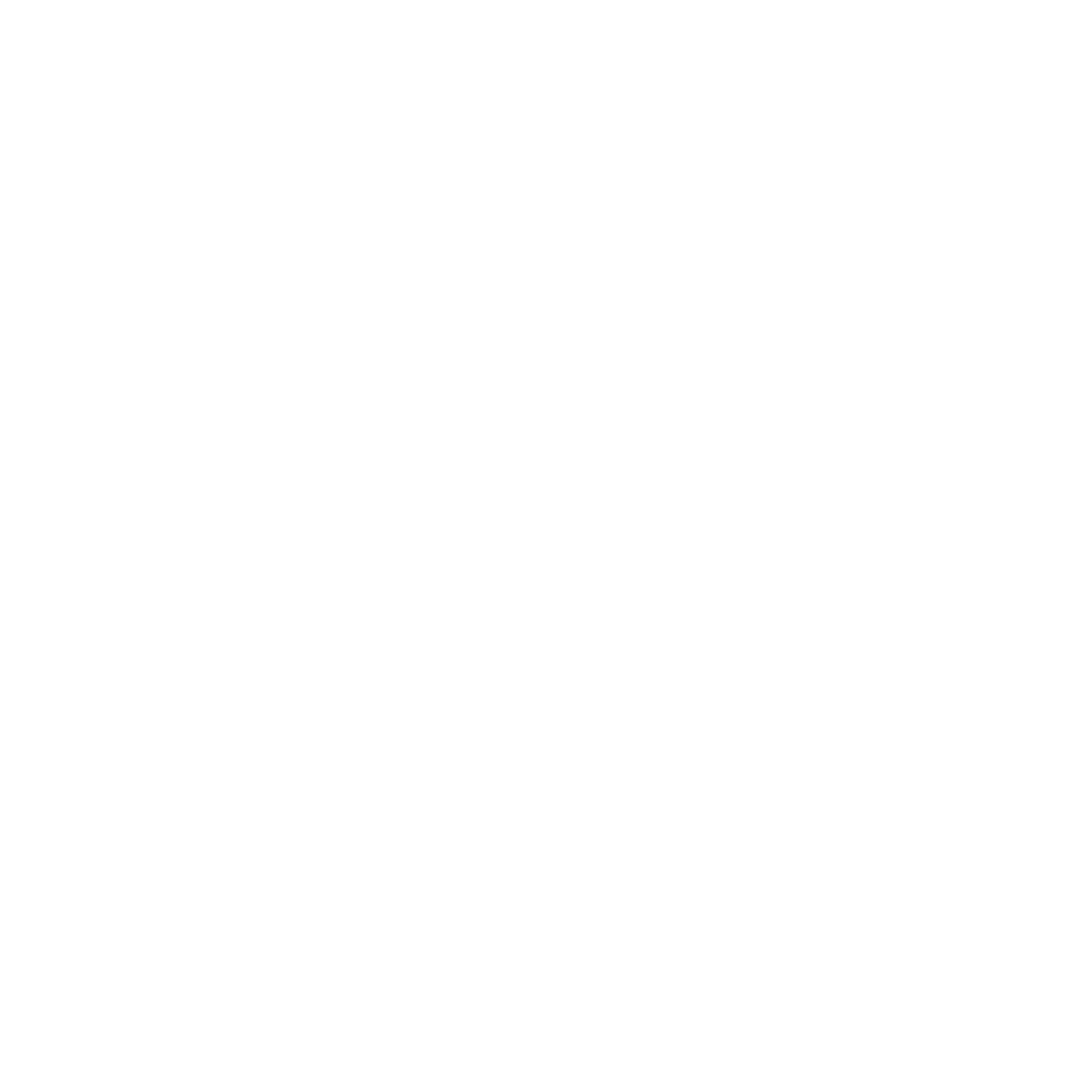 Vaishali Dev Logo White